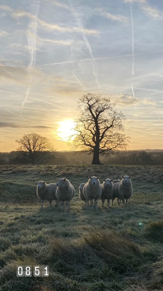 She took to her Instagram Story yesterday with some snaps from her mystery break