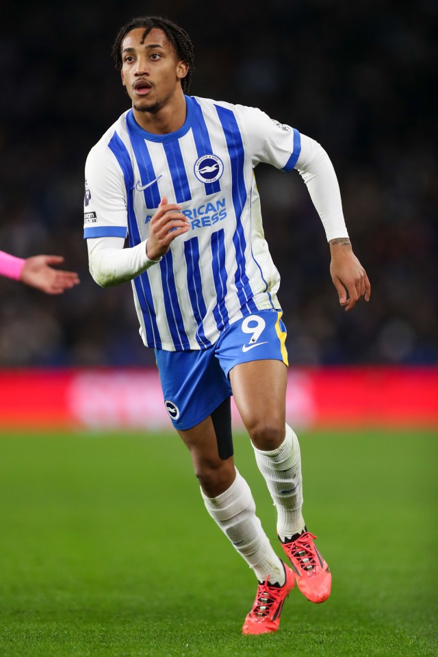 Joao Pedro has impressed while playing for Brighton