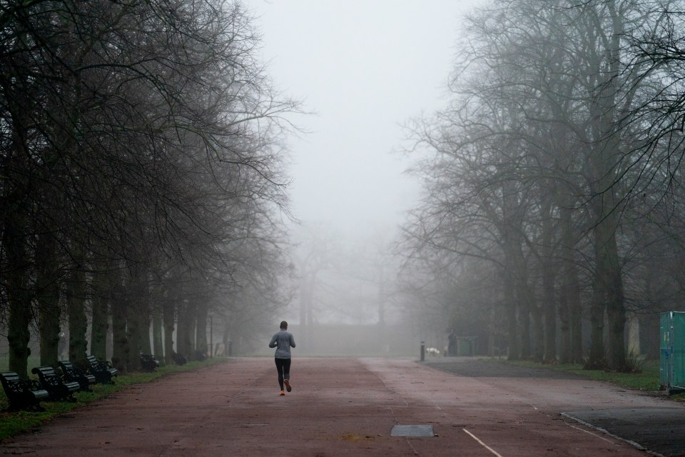 A jogger in an otherwise deserted Greenwich Park