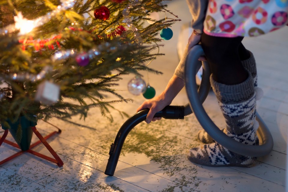 It's the time of year when pine needles start to become a household problem.