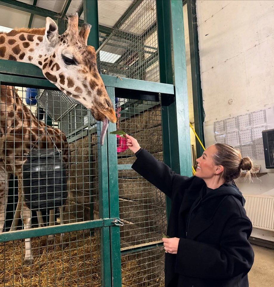 Kate had a big smile on her face as she fed a giraffe