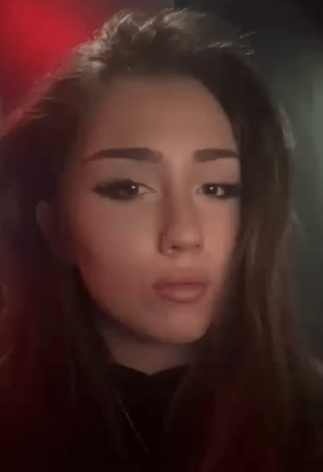 Lilyanne Hook, 19, has been missing since November 10