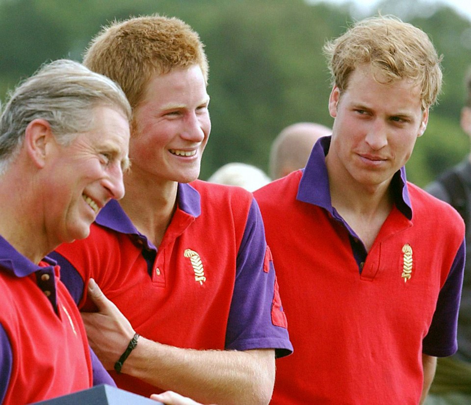 Charles, Harry and William watch on