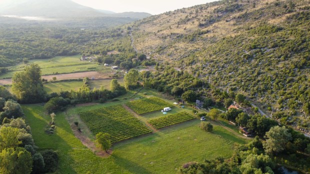 Aerial view of a vineyard in Montenegro.