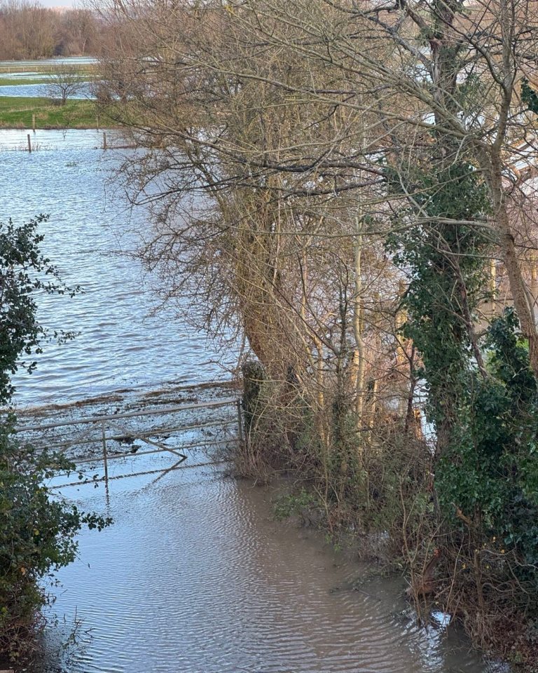 The BBC Two star took to Instagram as he showed just how flooded his Longmeadow grounds were