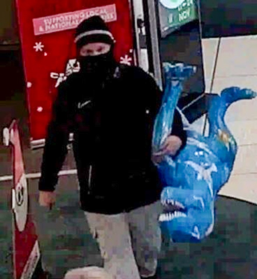 A thief was caught on camera nicking a large model dinosaur from the kids’ section of a library