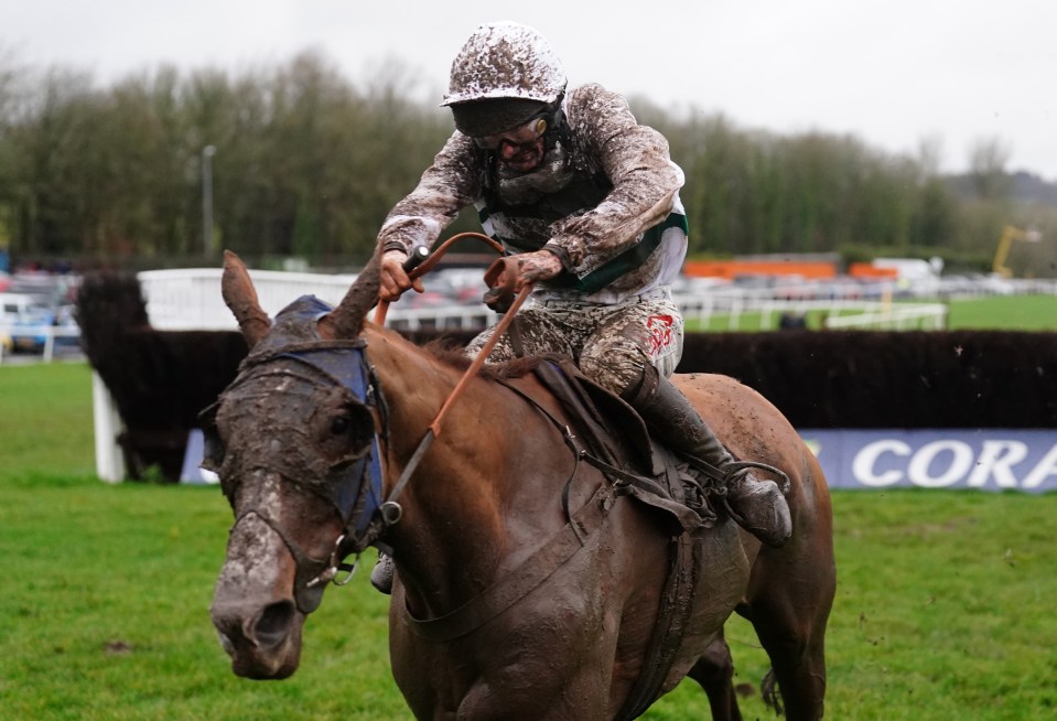 Nassalam, ridden by Caoilin Quinn, won the Welsh Grand National last year