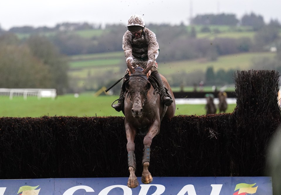 Nassalam won the 2023 Welsh Grand National