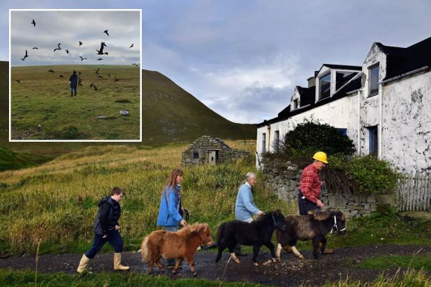 Family walking miniature horses near a house and a flock of birds.