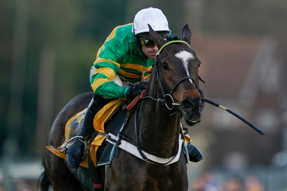 Jonbon is due to defend his Tingle Creek crown on Saturday – but the meeting will have to pass a precautionary inspection