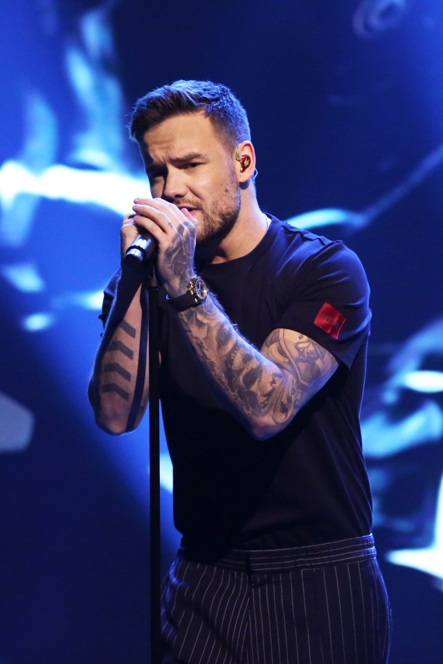 Liam was a mentor on the show, which is aiming to form 'the next great music group'