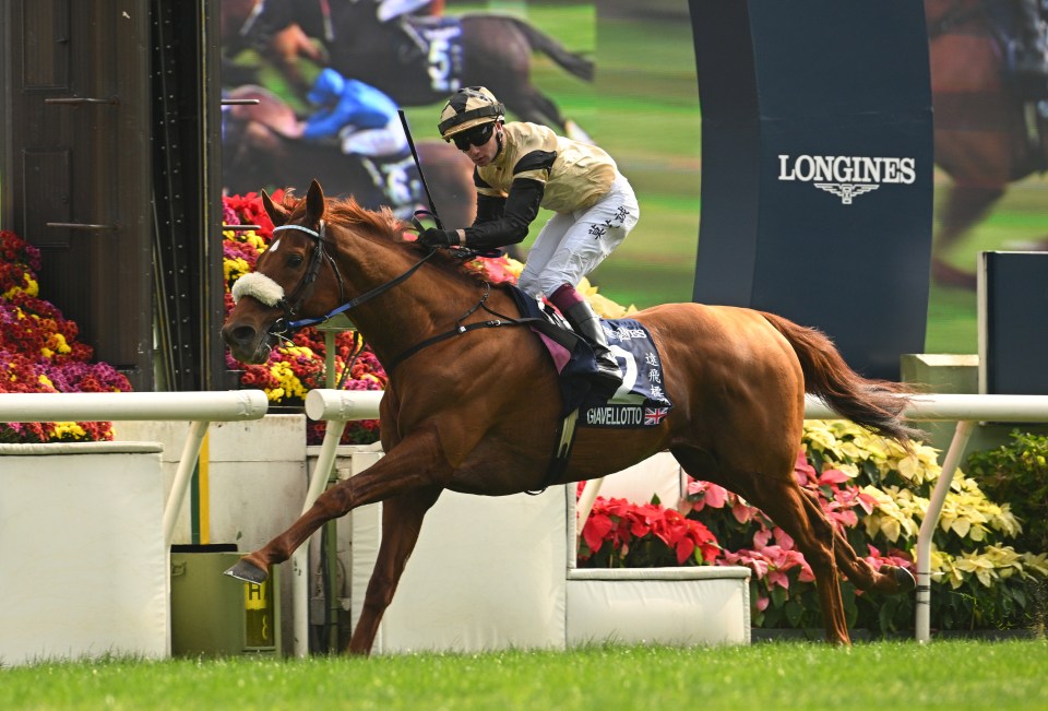 Giavellotto and Oisin Murphy won the £2.4 million Hong Kong Vase