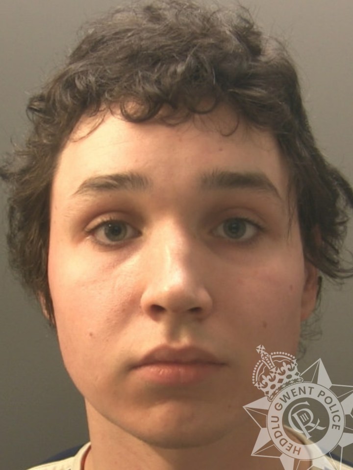 Owain Roberts from Wales was jailed for attempting to build a 3D gun