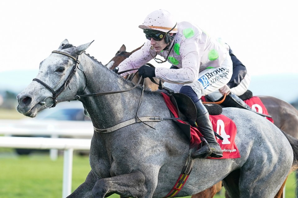 Paul Townend riding Lossiemouth - who is set to clash with Constitution Hill in the Christmas Hurdle at Kempton