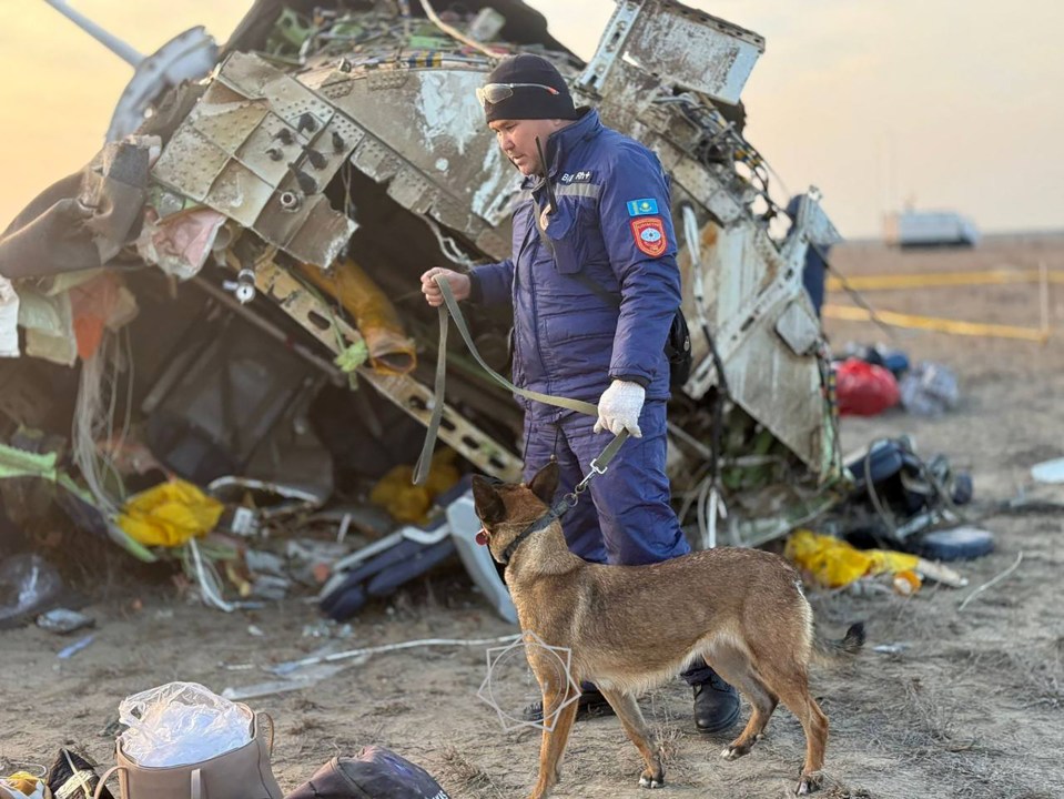 Emergency worker with a dog at an airplane crash site.