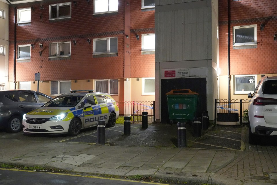 Police officers attend the scene in Shirley Road in Stratford, east London