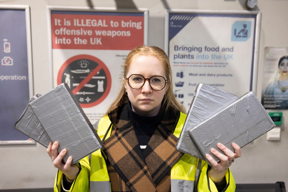 Border Force invited The Sun's Thea Jacobs behind the scenes at the Port of Dover to see the daily battles its staff face to keep our streets safe