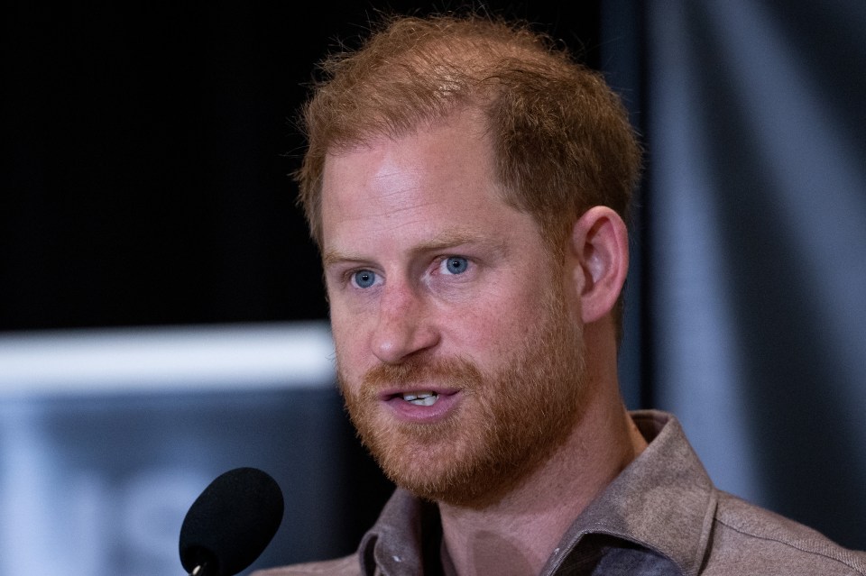 Prince Harry should avoid staging 'a surprise meeting, as this will not go well'