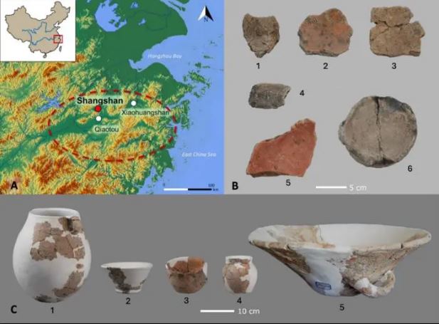 Archaeological evidence of 10,000-year-old rice beer from the Shangshan site in China.