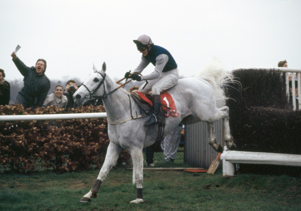 Thousands across our nation will rush to the racecourses in the hope of witnessing a new racing legend like Desert Orchid