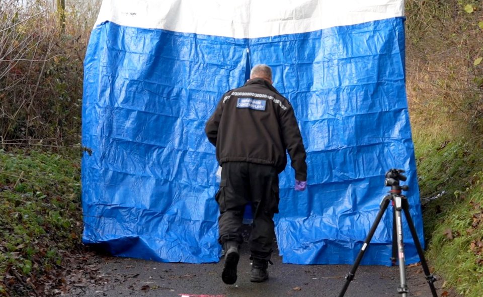 A forensic tent erected at the scene