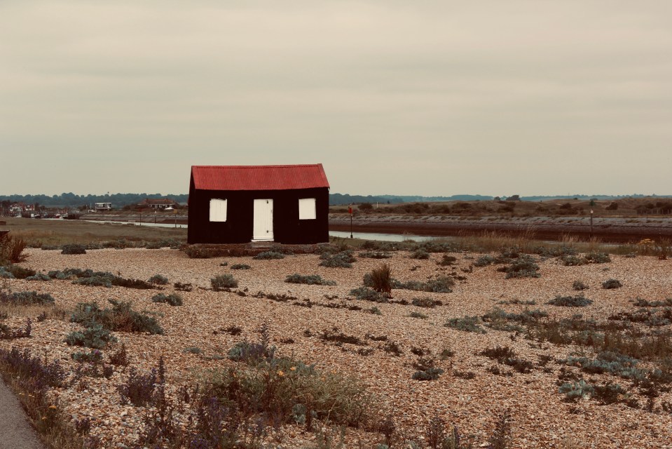 Those looking to escape the crowds can slink off to somewhere like  the beach at Rye Nature Reserve