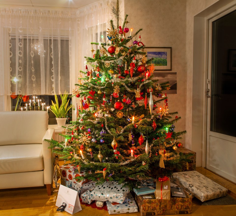 The most popular day to put up a Christmas tree in the UK is Saturday 7 December (stock pic)