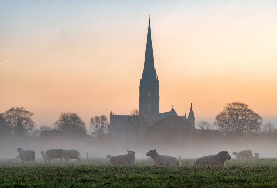 Salisbury has been crowned the cheapest spot