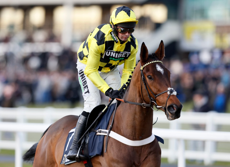 Sir Gino looks set to go chasing at Kempton over Christmas