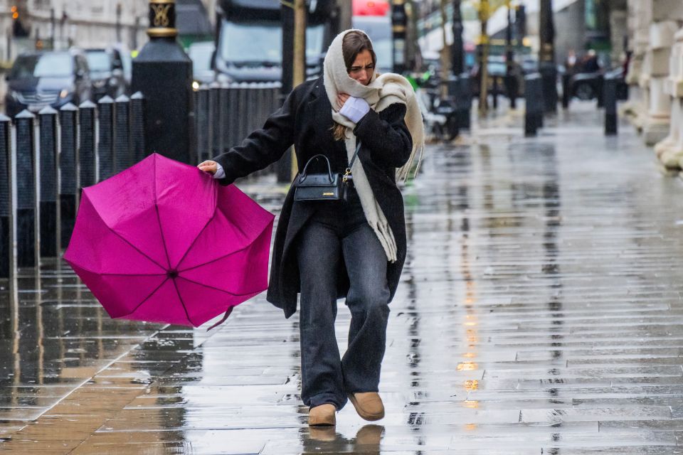 Wet and windy weather from Storm Darragh hits London last weekend