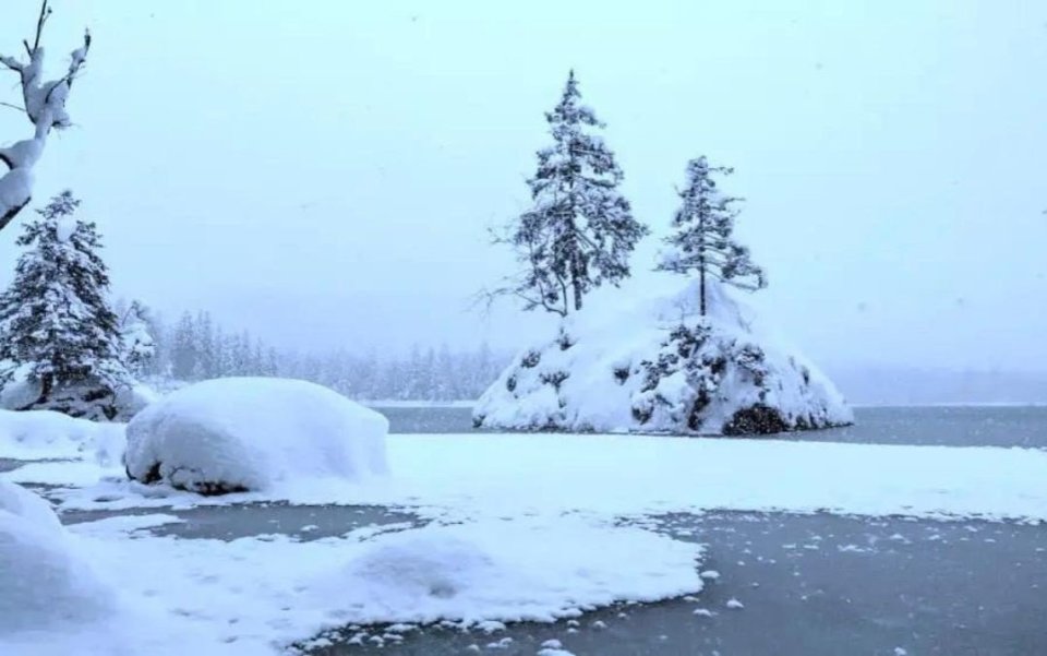 Can you spot the polar bear hidden in this scene?