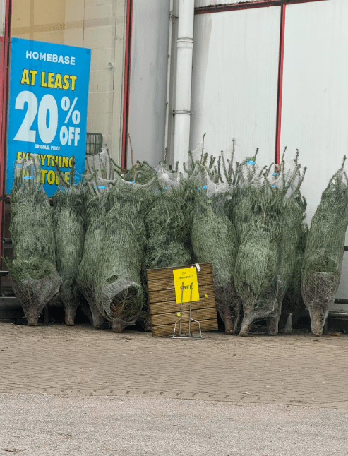 One eagle-eyed shopper spotted an unbelievable deal on real Christmas trees