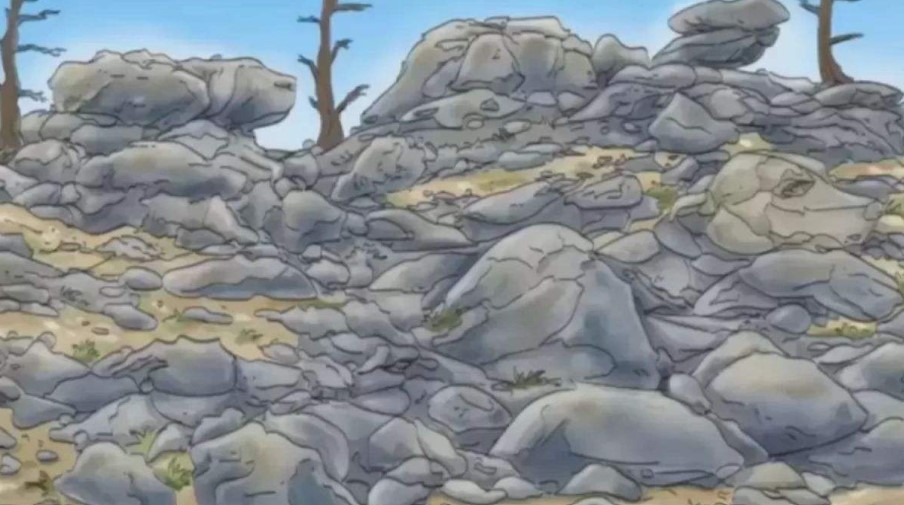 Can you find the hidden dog among the rocks?