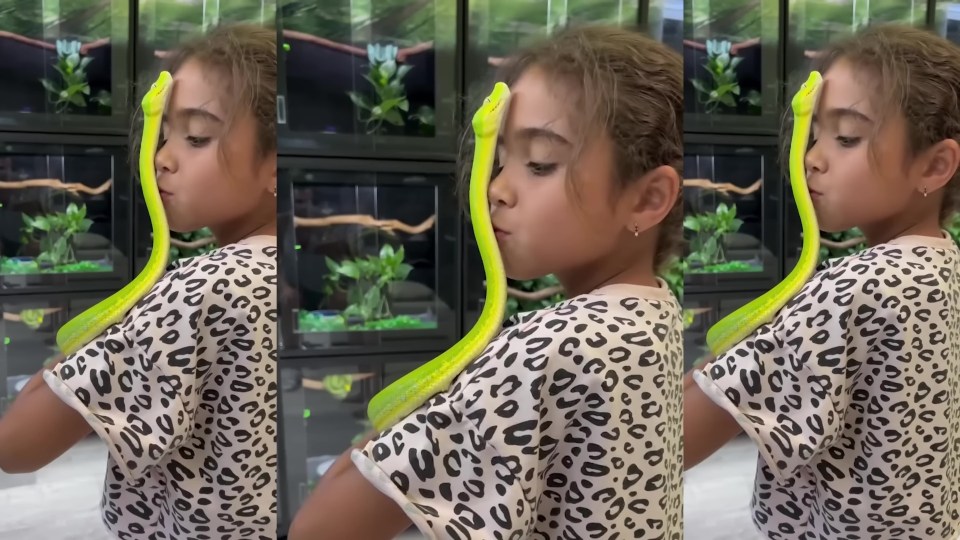 Ariana sleeps with 18 snakes in her room