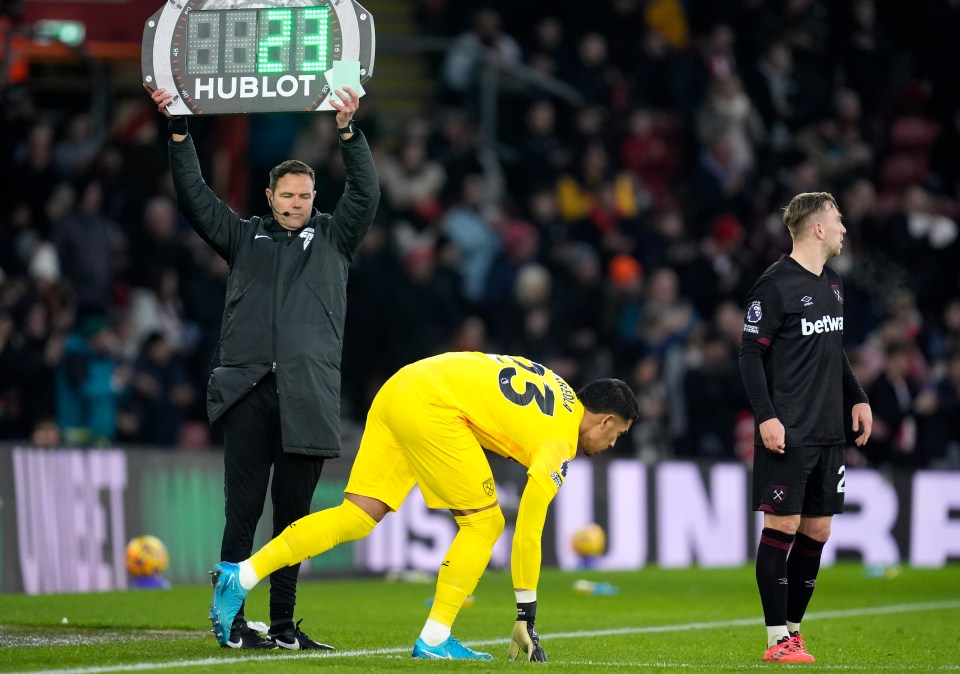 Alphonse Areola came on for the stricken Fabianski