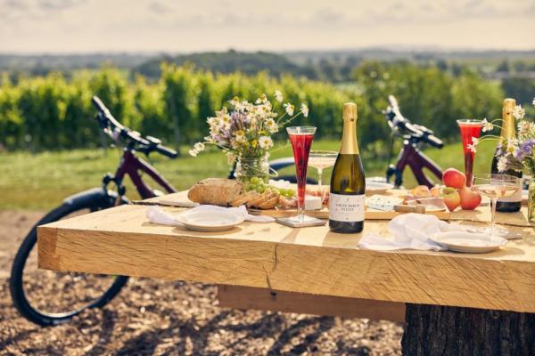 Wine lovers will relish a two-hour e-bike experience in Here­fordshire