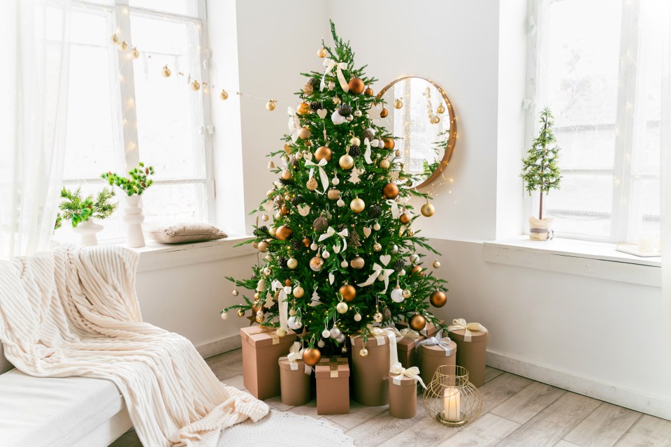 Prepare for shivers to go down your spine - but you'll need to check your Christmas tree to ensure it doesn't have a 'pine cone' like growth