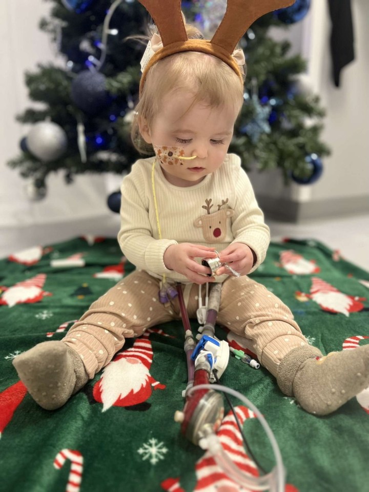 Willow Stansfield, 18 months, was diagnosed with end-stage heart failure in August