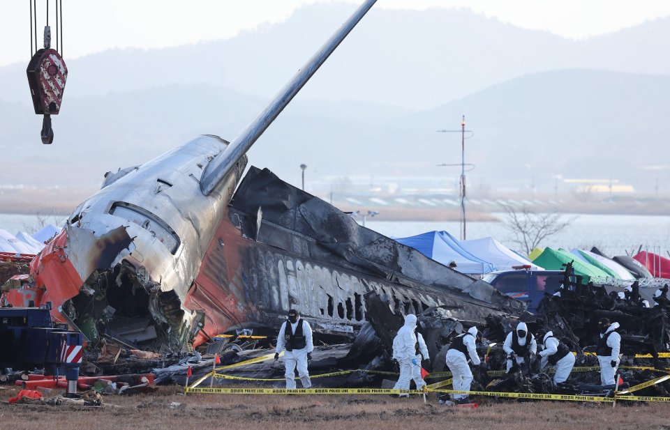 A police forensic team conducts an on-site investigation at the scene of the crash