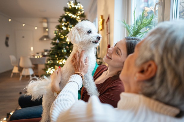 A young woman and her parents celebrate Christmas with their small white dog.