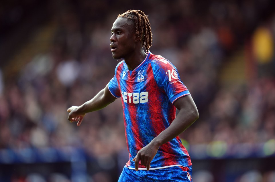 Photo of Trevoh Chalobah in a Crystal Palace jersey.