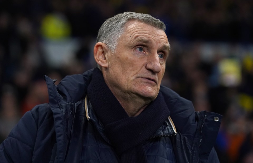 Photo of Tony Mowbray, Birmingham City manager.