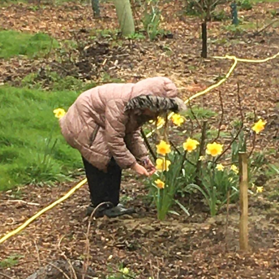 He grows fruit and vegetable in his 'food forest' garden' and only buys second hand items