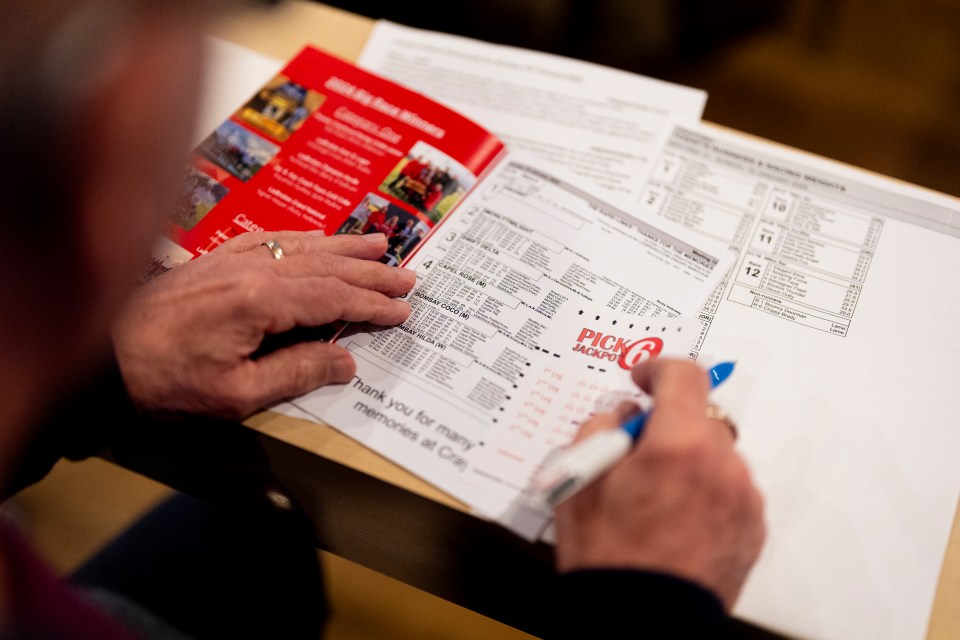 Person filling out a greyhound racing betting sheet.