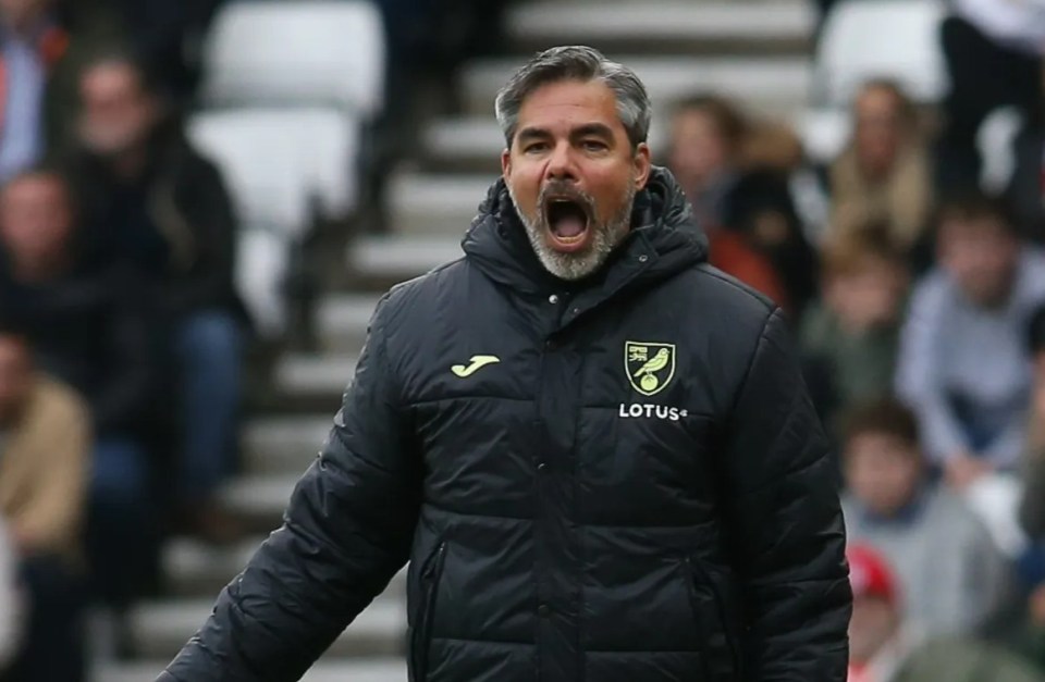 Norwich City manager David Wagner on the sidelines.