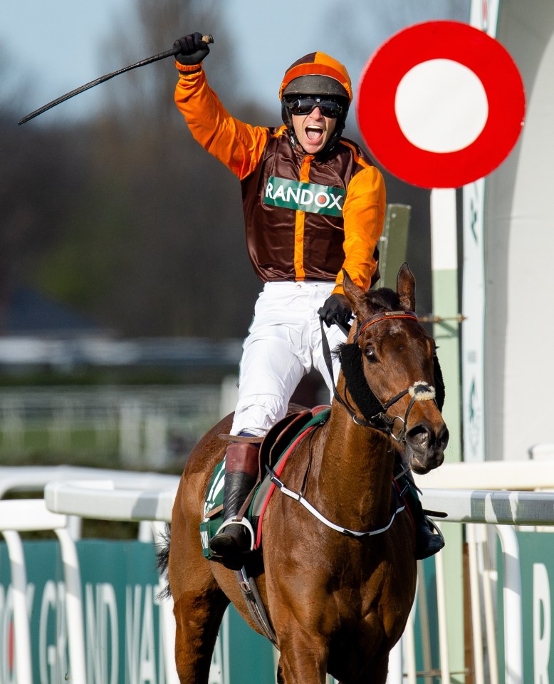 Jockey Sam Waley-Cohen wins the Grand National on Noble Yeats.