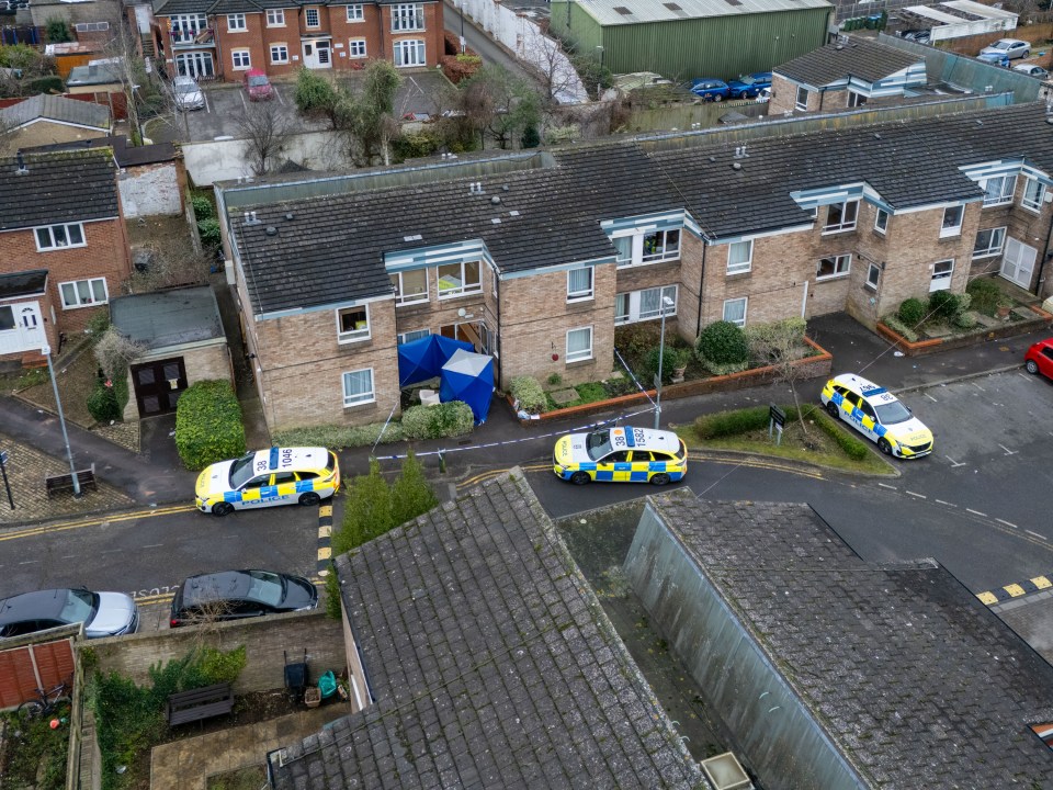 Cops were called to a block of flats in Aylesbury at 4.20pm