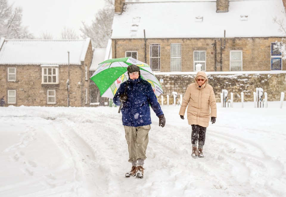 Two people walking in heavy snow.