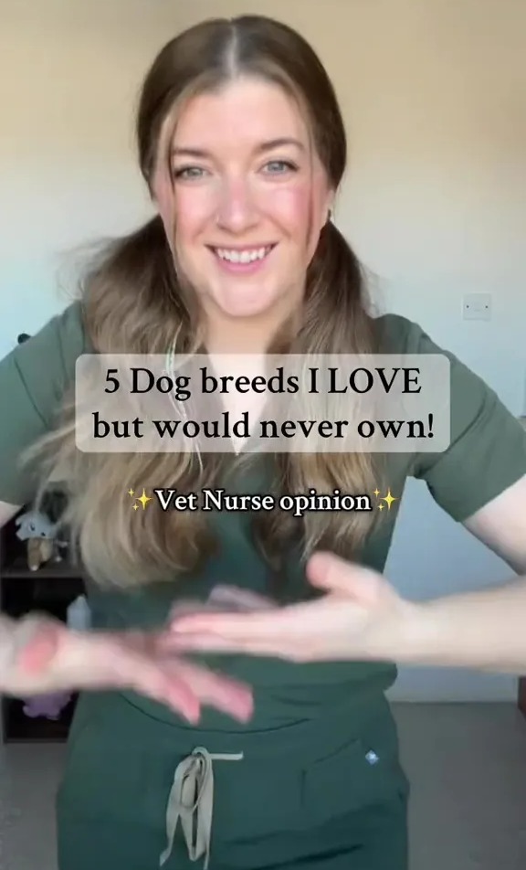 Vet nurse recommending 5 dog breeds she loves but would never own.