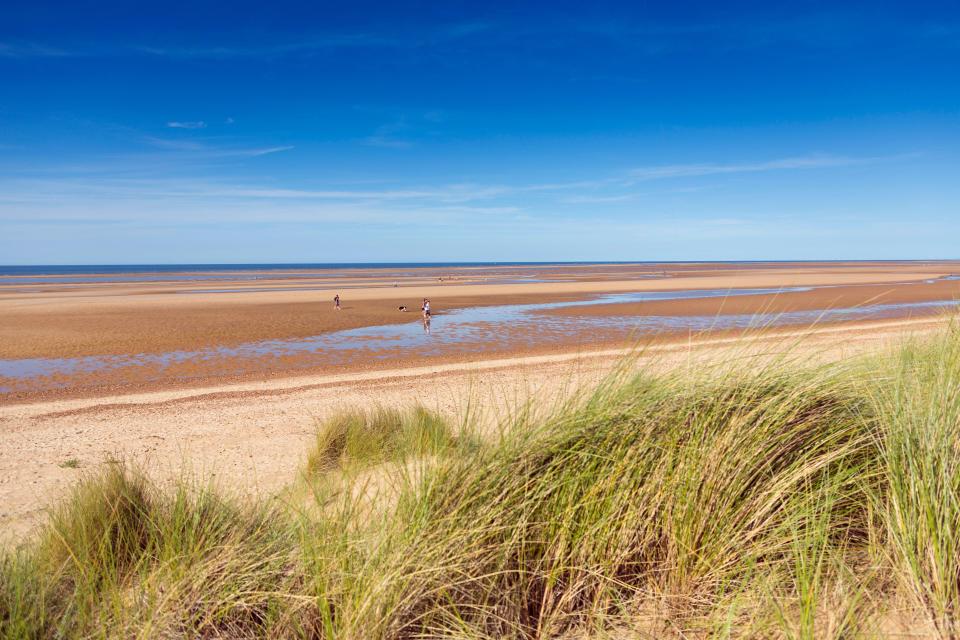 Beach scene with marram grass dunes.